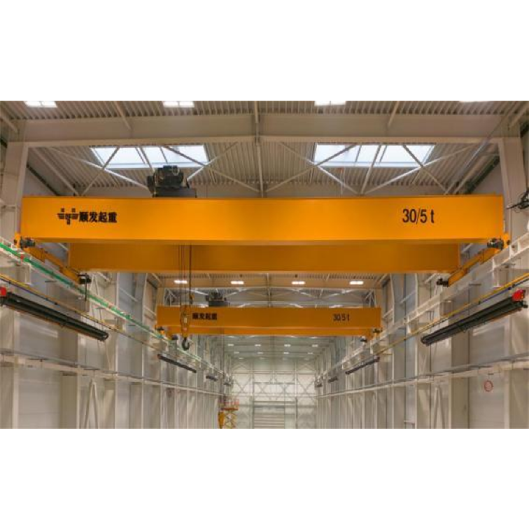 European double beam crane